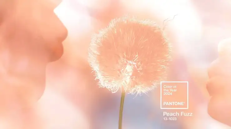 Peach Fuzz: Il pantone del 2024